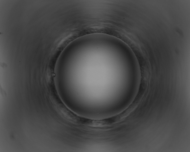 X0000090970758200708021437