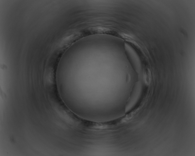 X0000090970760200708021437