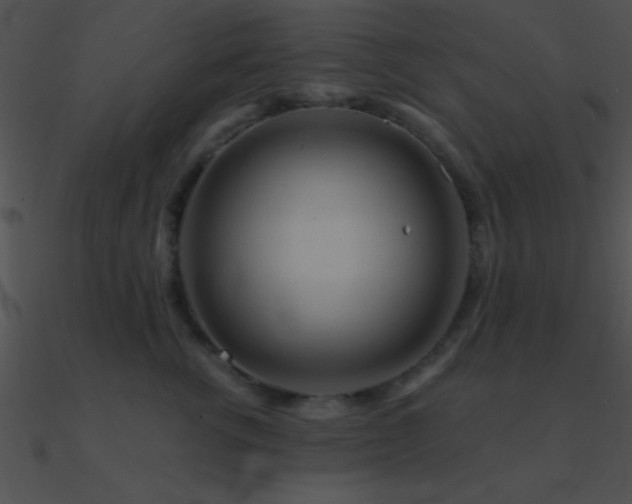 X0000090970762200708021437