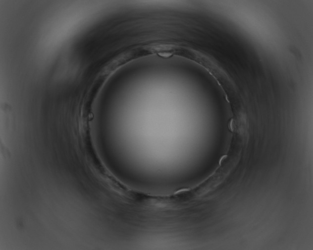 X0000090970763200708021437