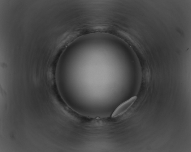 X0000090970764200708021437