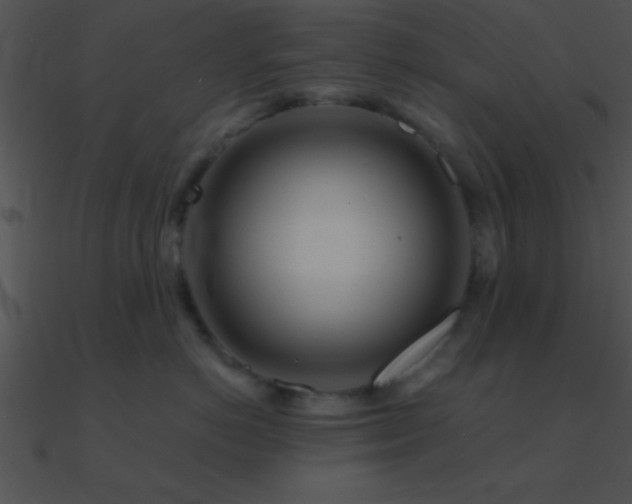 X0000090970766200708021437