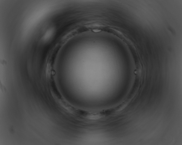 X0000090970767200708021437