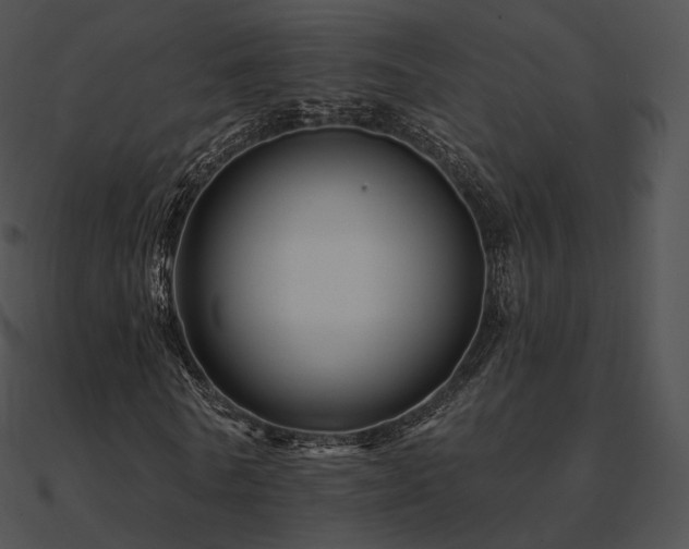 X0000090970770200708021437