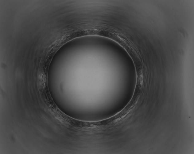 X0000090970772200708021436