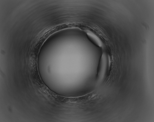 X0000090970773200708021436