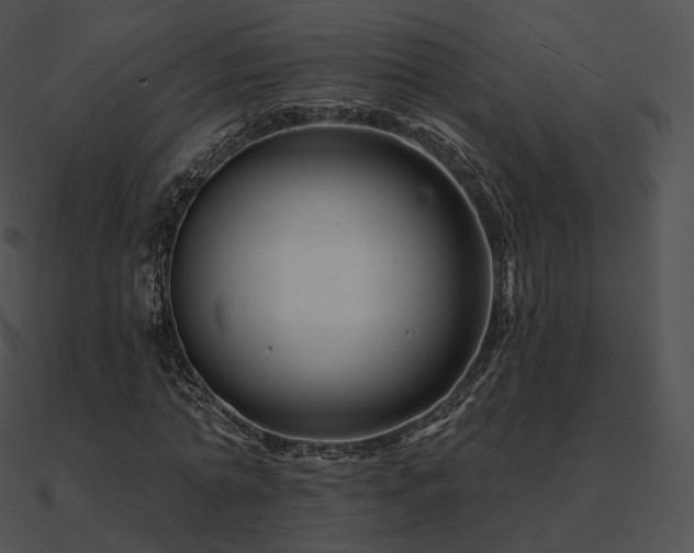 X0000090970774200708021436