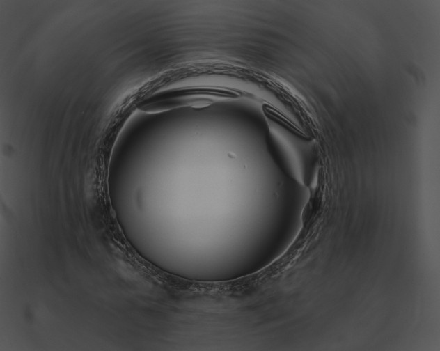 X0000090970775200708021436