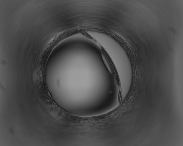 X0000090970776200708021436