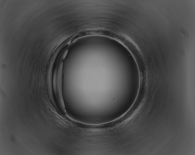 X0000090970777200708021436