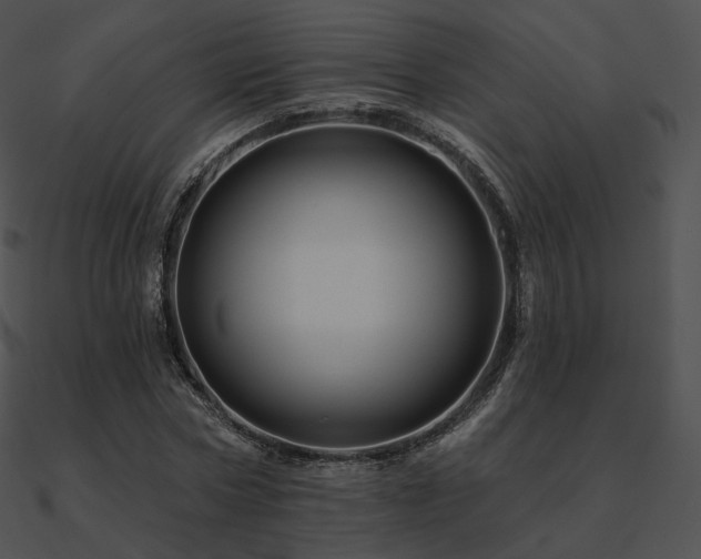 X0000090970778200708021436