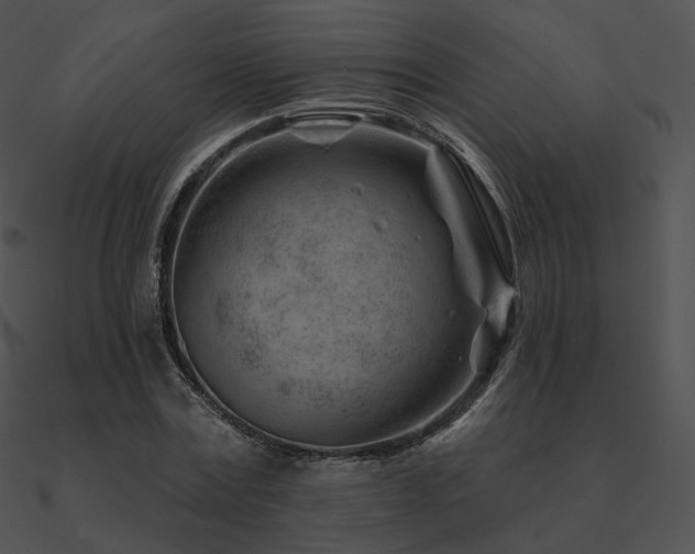 X0000090970779200708021436