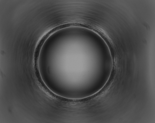 X0000090970780200708021436