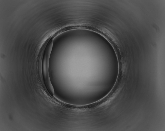 X0000090970781200708021436