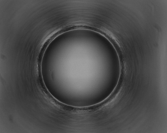 X0000090970782200708021436