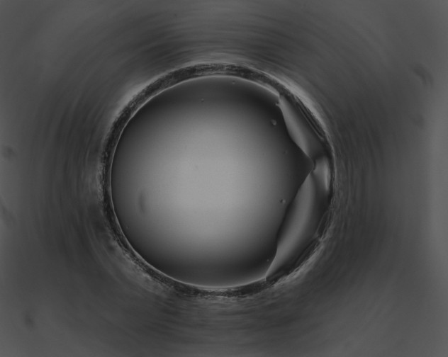 X0000090970783200708021436