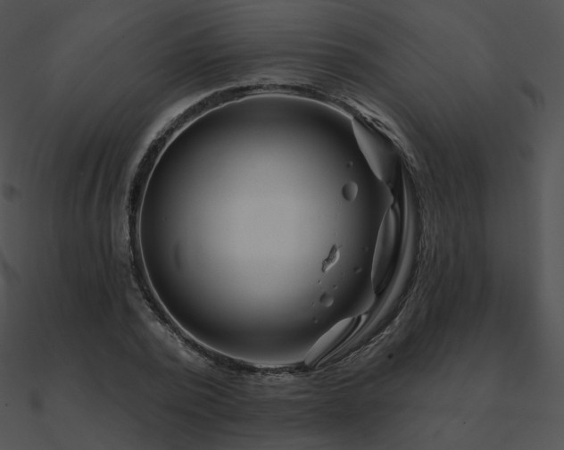 X0000090970784200708021436