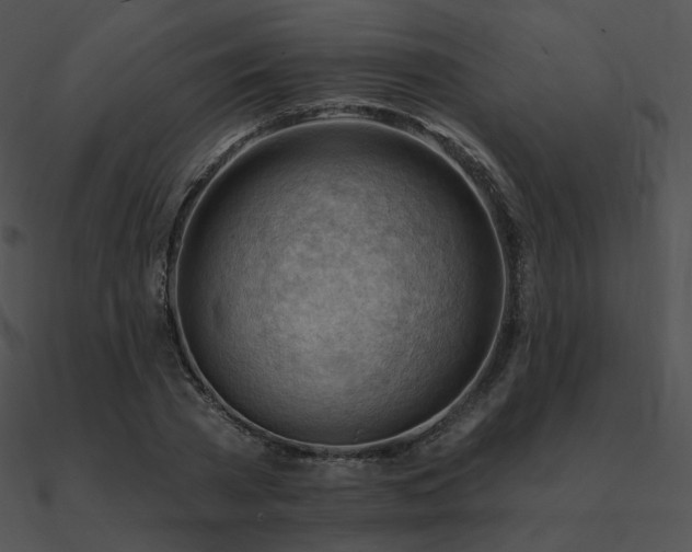 X0000090970785200708021436