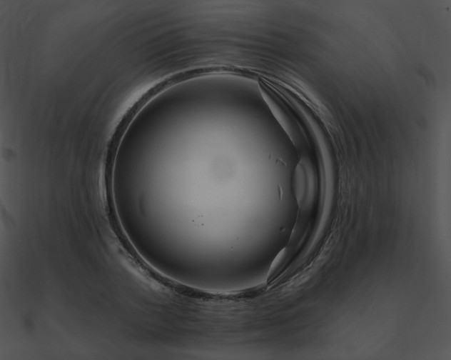 X0000090970788200708021436