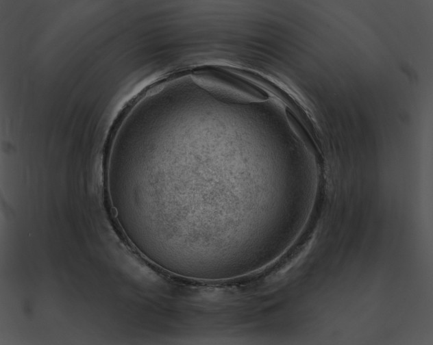 X0000090970790200708021436