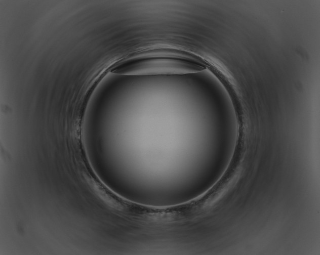 X0000090970793200708021436