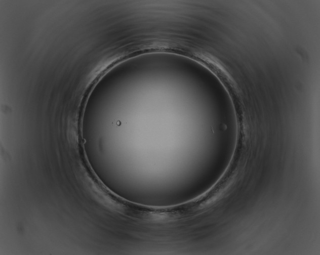 X0000090970794200708021436