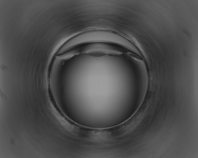 X0000090970795200708021436