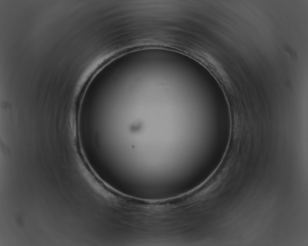 X0000090970796200708021436