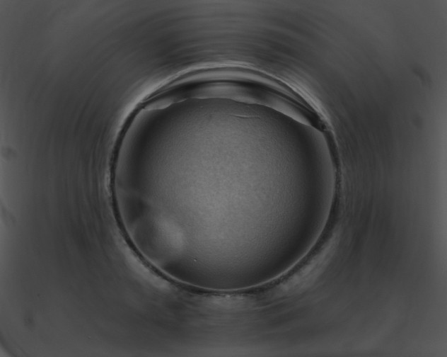 X0000090970797200708021436