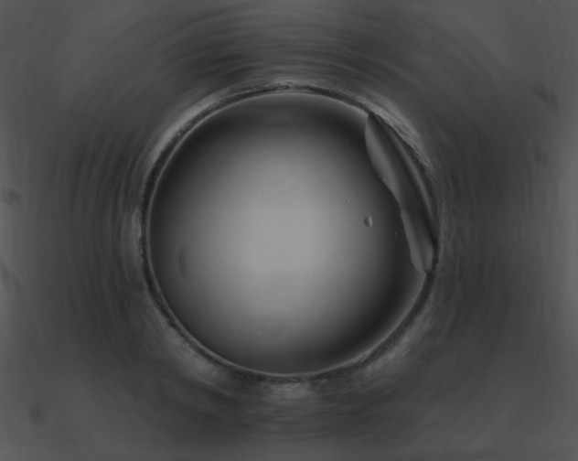 X0000090970798200708021436