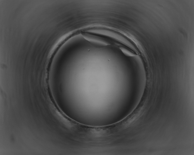 X0000090970799200708021436