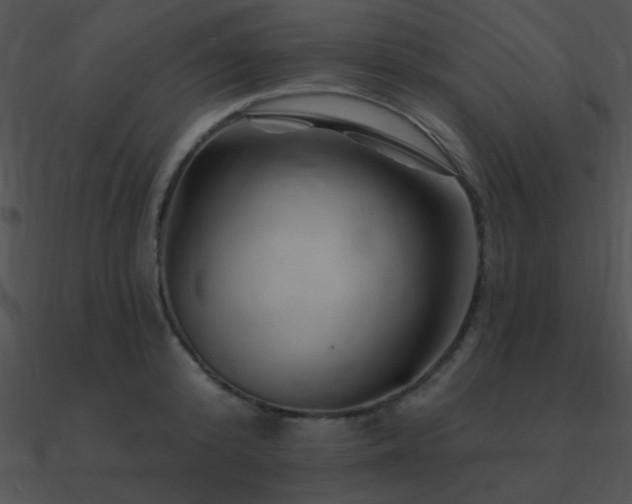 X0000090970800200708021436