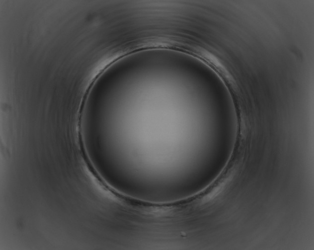 X0000090970802200708021436