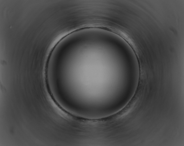 X0000090970803200708021436