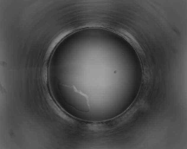 X0000090970804200708021436