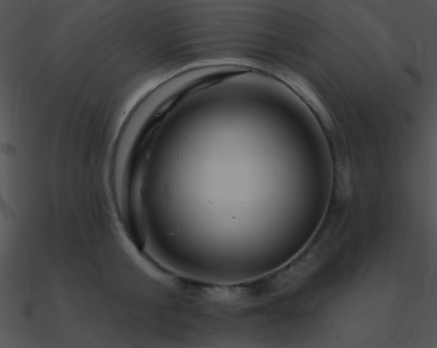 X0000090970805200708021436