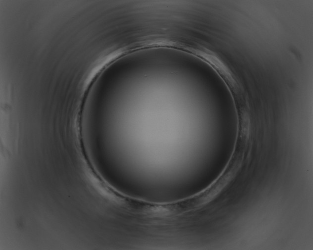 X0000090970806200708021436