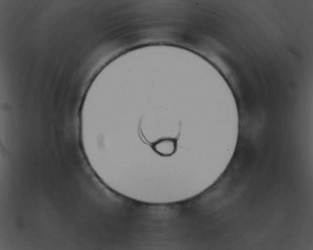 X0000090970807200708021436