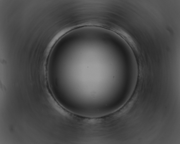 X0000090970808200708021436