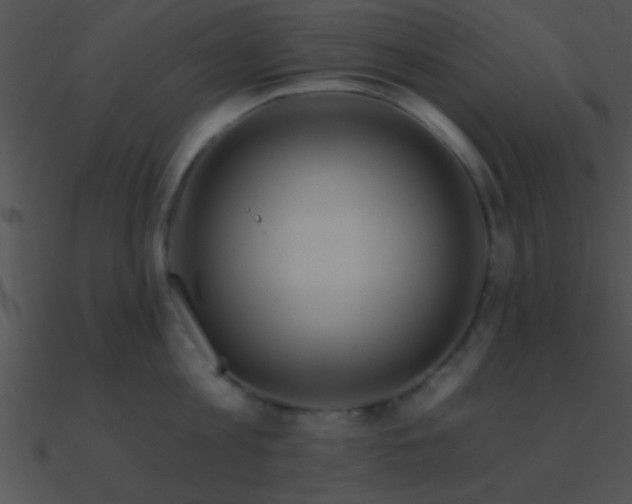 X0000090970813200708021436