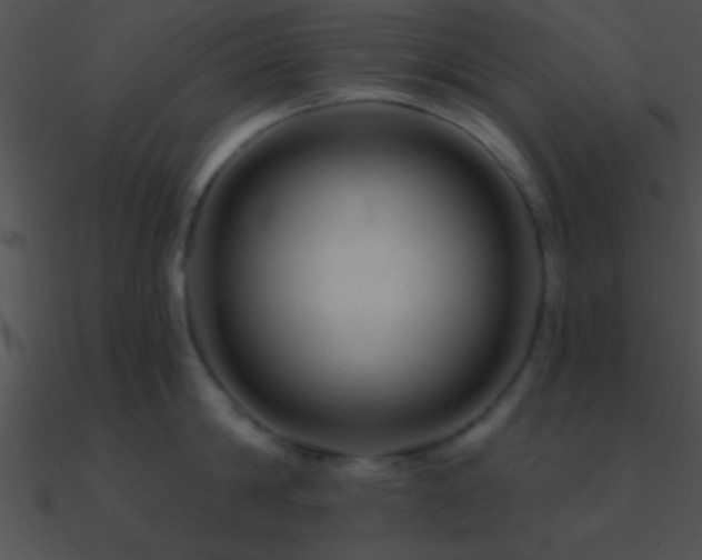 X0000090970814200708021436