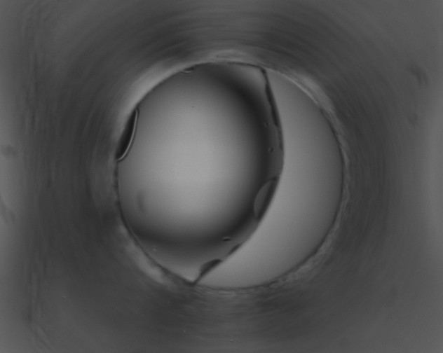 X0000090970816200708021436