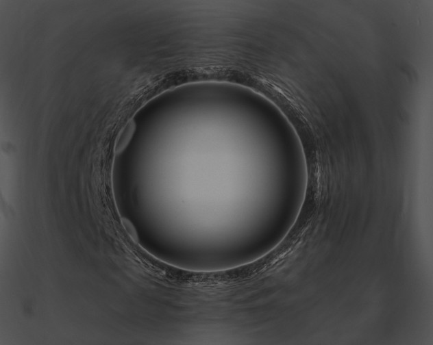 X0000090970817200708021435