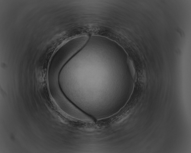 X0000090970818200708021435