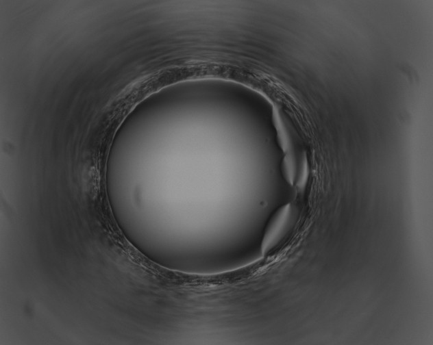 X0000090970821200708021435