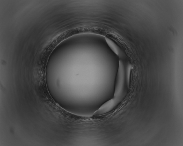 X0000090970822200708021435