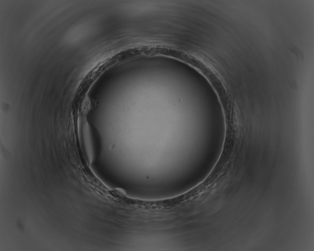 X0000090970823200708021435