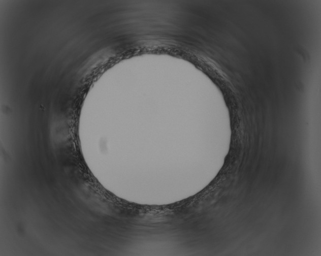 X0000090970824200708021435