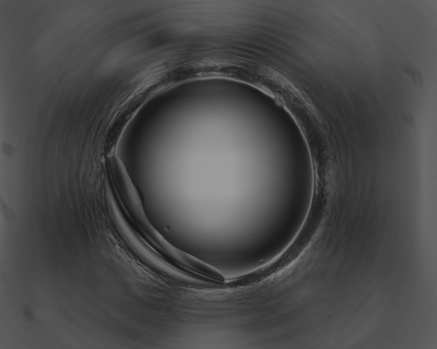 X0000090970825200708021435