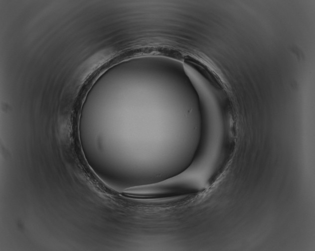 X0000090970826200708021435